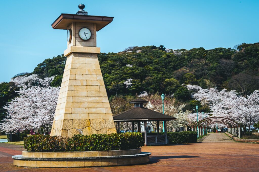 【福井】敦賀の春：公園の時計台と桜の風景