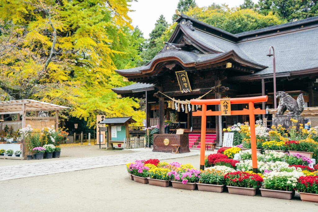 水戸八幡宮 菊まつり
